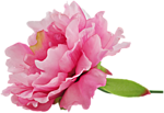 0_c6c76_5c72a559_S (150x103, 23Kb)
